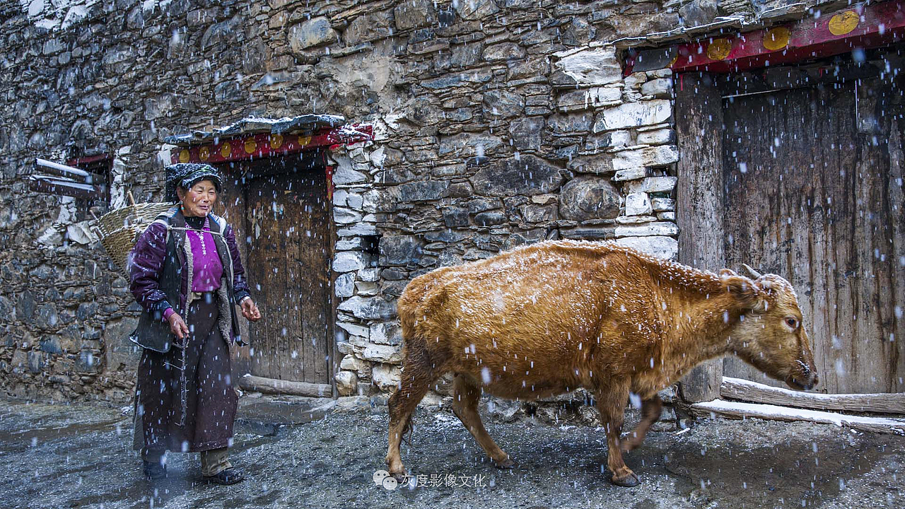 风雪归途1 Snow way back1黄海燕作品-灰度影像高阶荣衔会员
