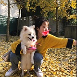 爱吃小鱼干的猫t的头像