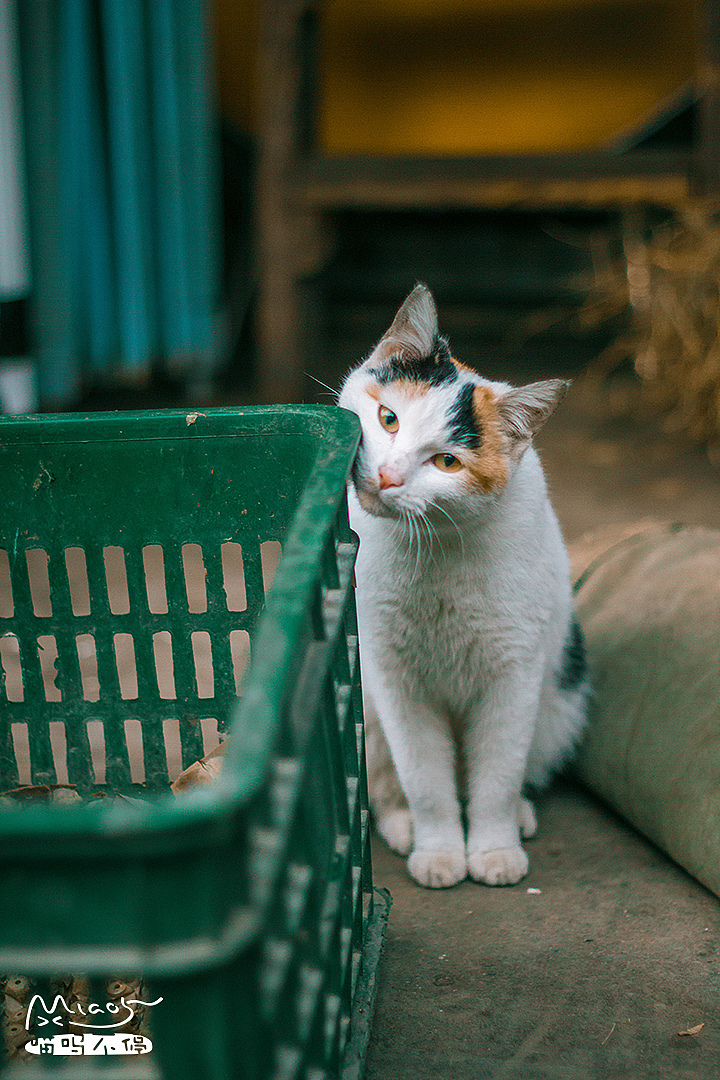 奏凯!这是我的箱子!