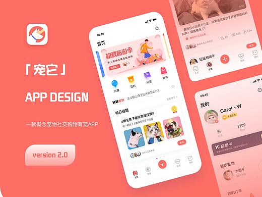 宠它  宠物app