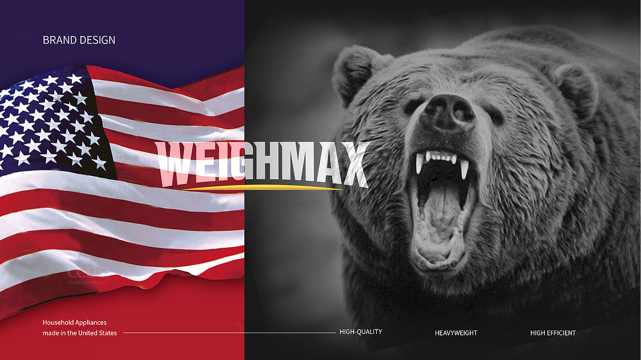 weighmax美国家电品牌VI设计、标志设计公司，品牌设计（图ZMTY1NTk3ODI0） - 品牌 - 站酷设计师南风盛世品牌设计原创素材 - 站酷ZCOOL