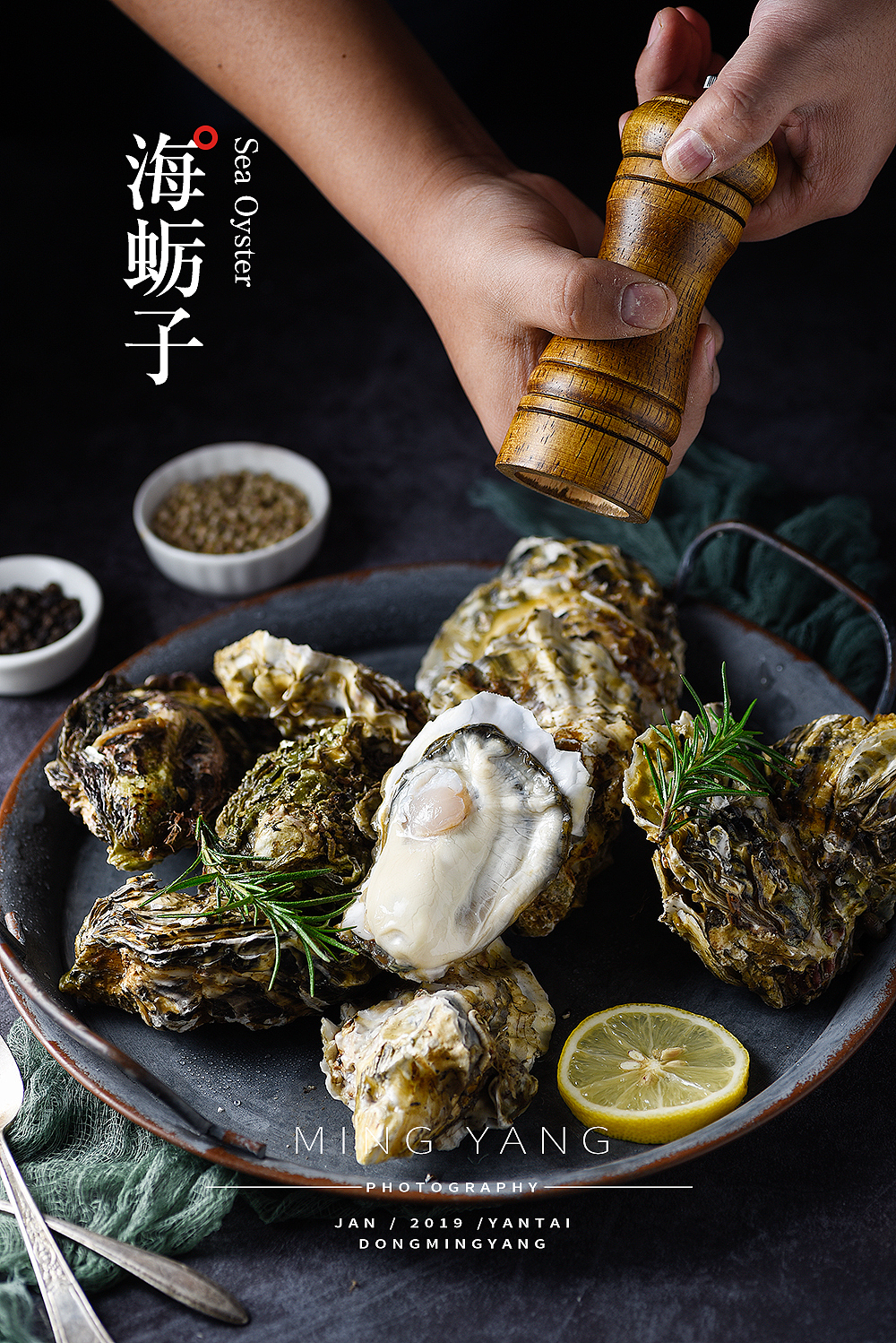 海蛎子/生蚝拍摄