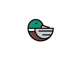 小鸭子一枚