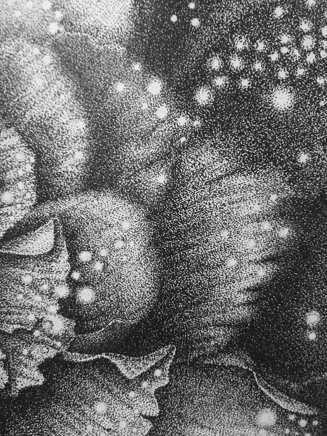 無名花（圖ZNzY3MDAxNDA=） - 創(chuàng)作習(xí)作 - 站酷設(shè)計(jì)師一盒火柴原創(chuàng)素材 - 站酷ZCOOL