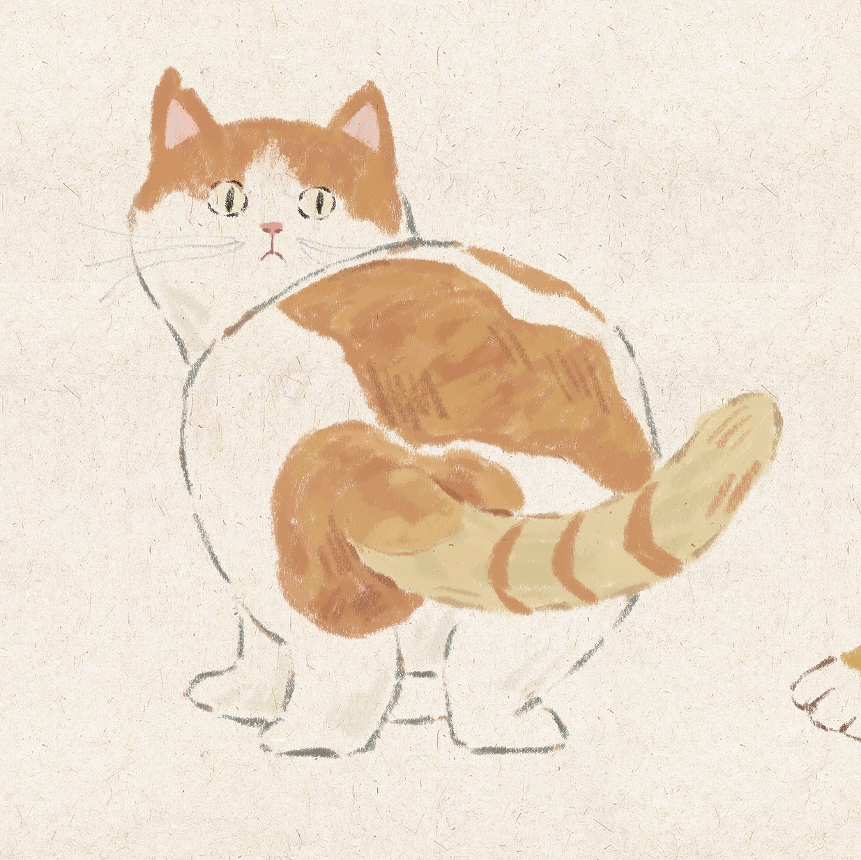 虎年画猫(故宫御猫)