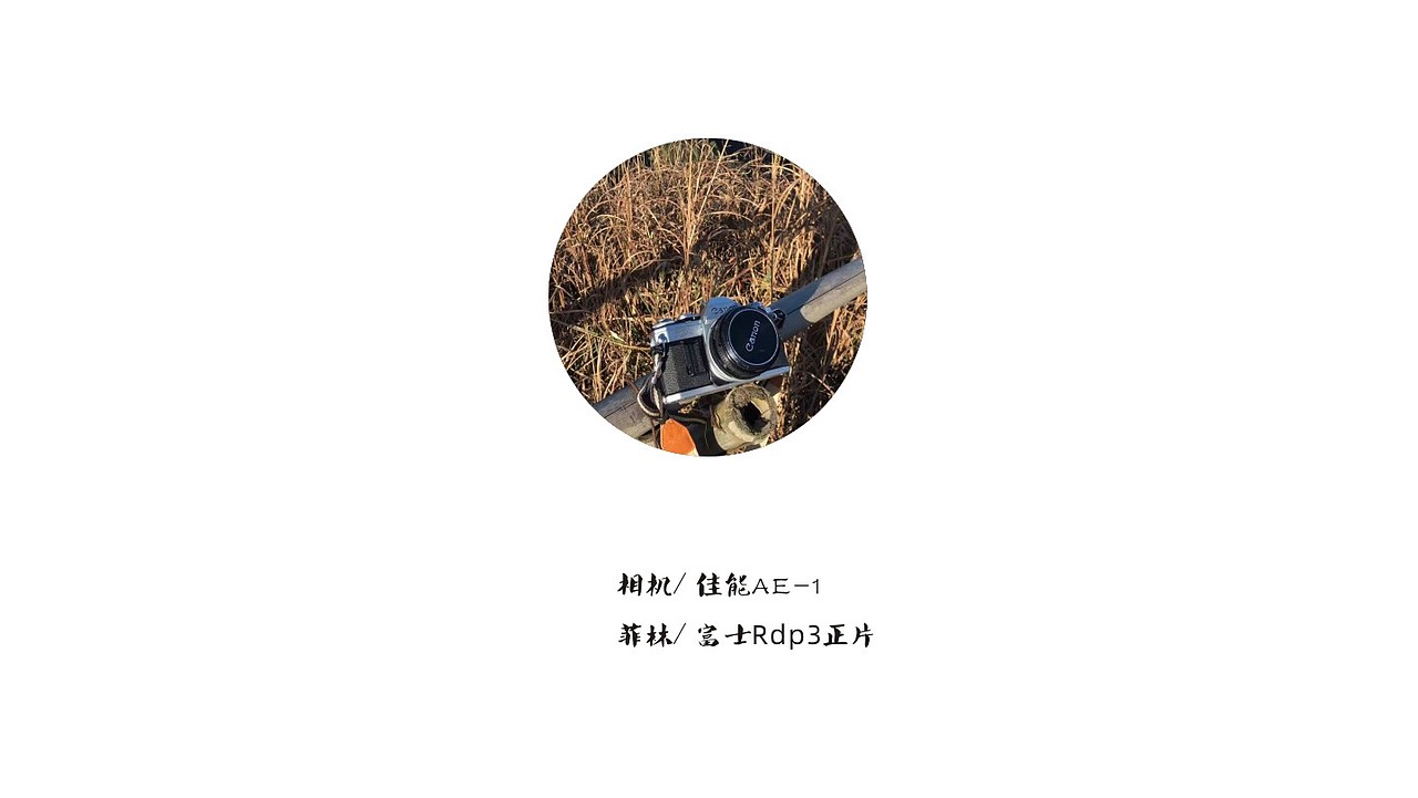 胶片的味道#昔日武功山