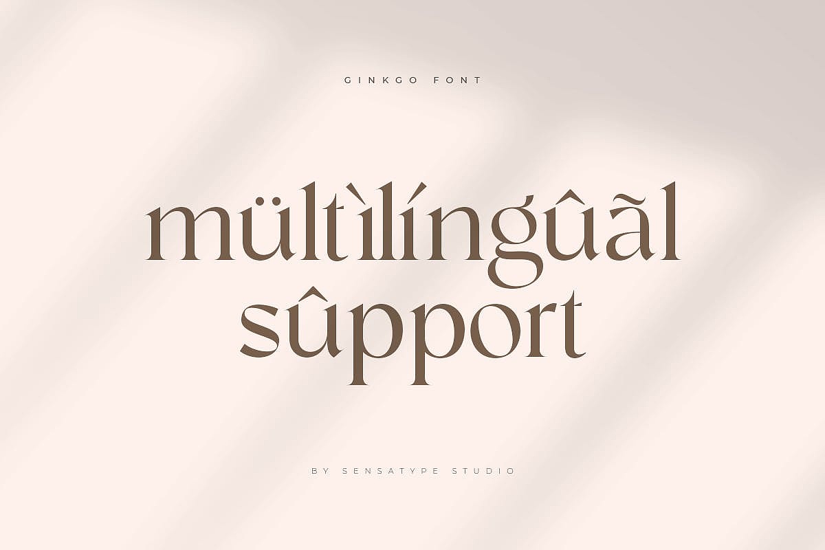Ginkgo - 现代优雅衬线字体设计（图ZMjY1NDg3NzUy） - 字体/字形 - 站酷设计师RoblesTegan原创素材 - 站酷ZCOOL