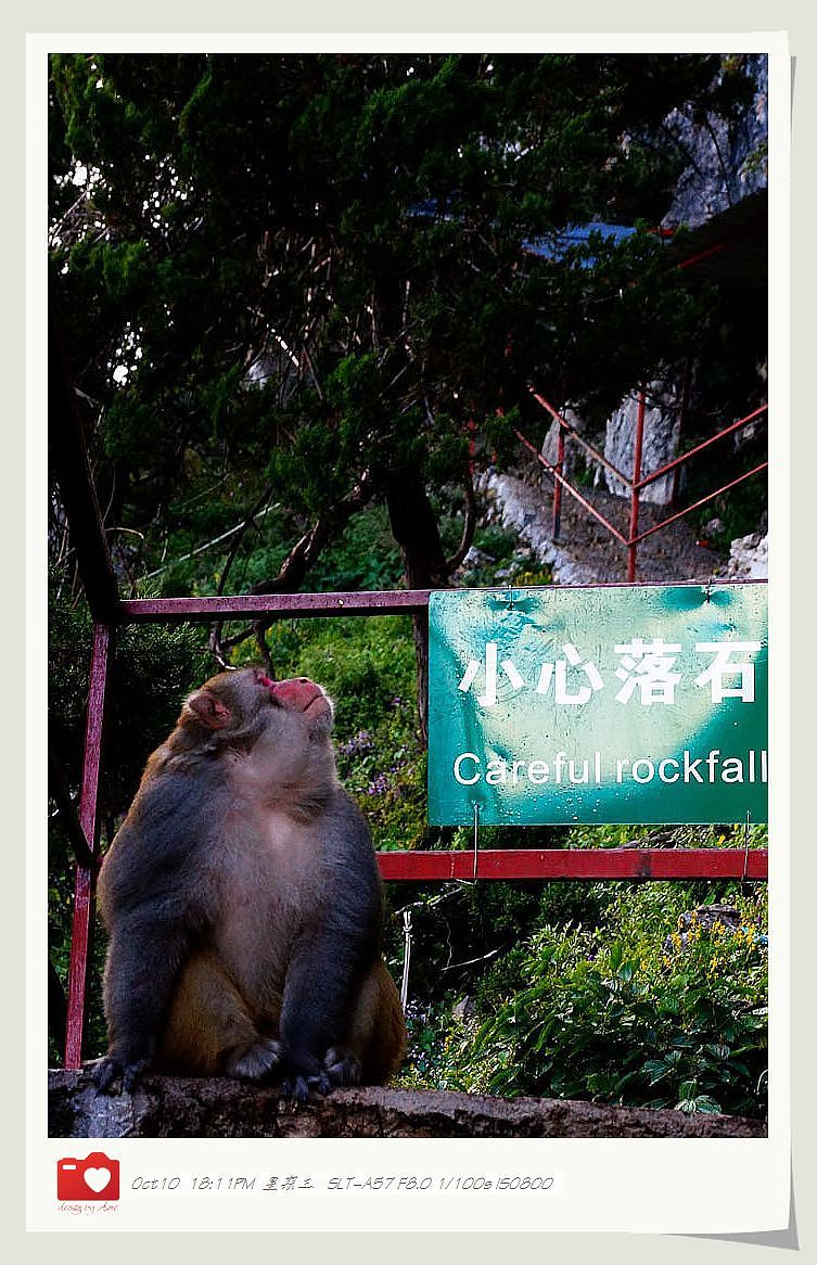 ◤岁月静好❤安然若素◢ 最接近天堂的地方，一轉身便是天涯（图ZNzE1MzQzNg==） - 风光摄影 - 站酷设计师咪噜咪噜原创素材 - 站酷ZCOOL