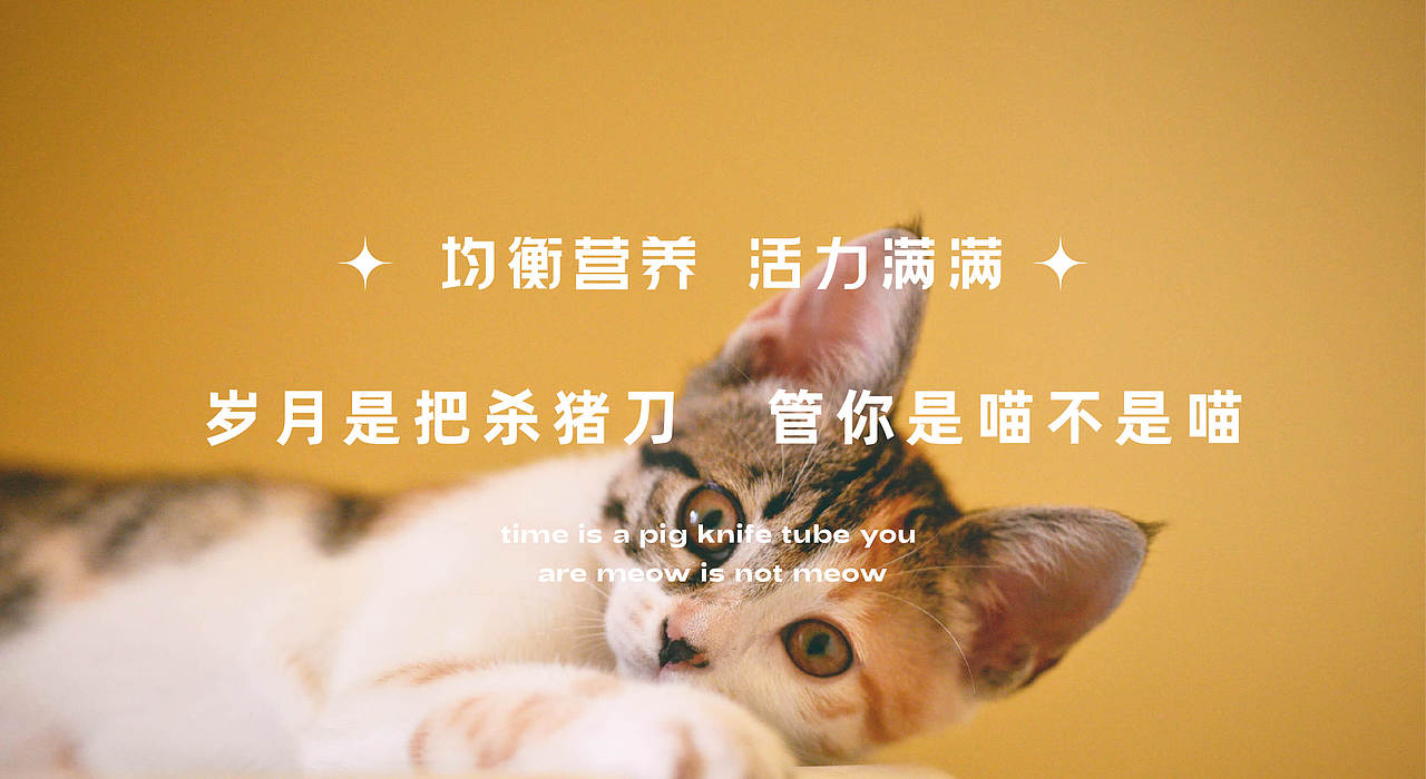 猫粮品牌设计猫粮包装丨咪萌(图ZMjYxNTkwMDM2) - 品牌 - 站酷设计师籽杉品牌设计原创素材 - 站酷ZCOOL