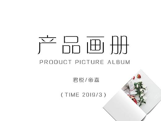 【 产品画册 】君悦/帝森