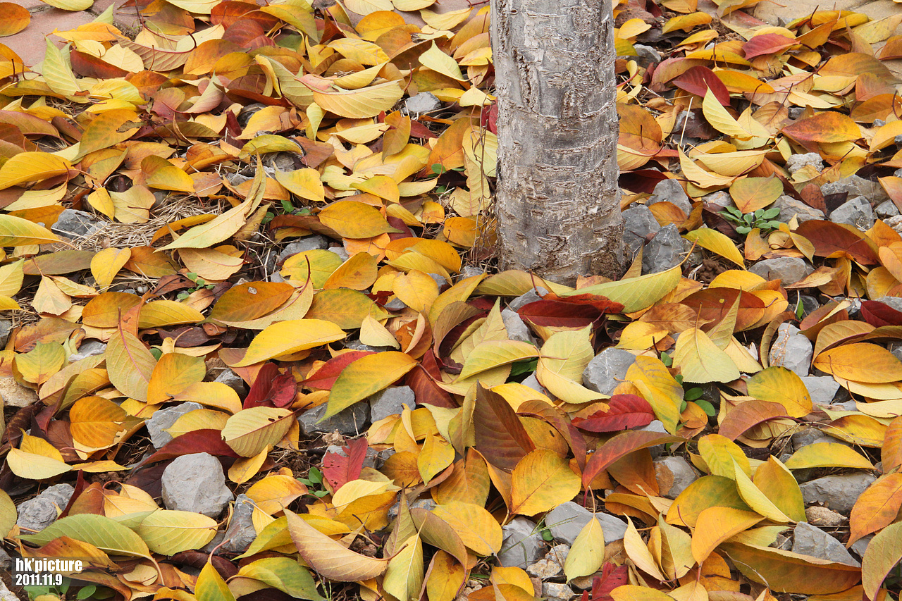 大作业终于做完了（图ZNDMwODEwNA==） - 风光摄影 - 站酷设计师高级灰hk原创素材 - 站酷ZCOOL