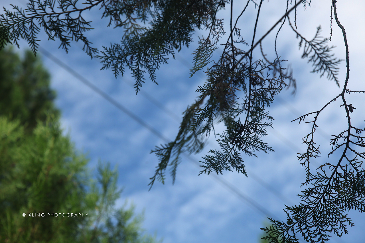 川西之行—稻城亚丁