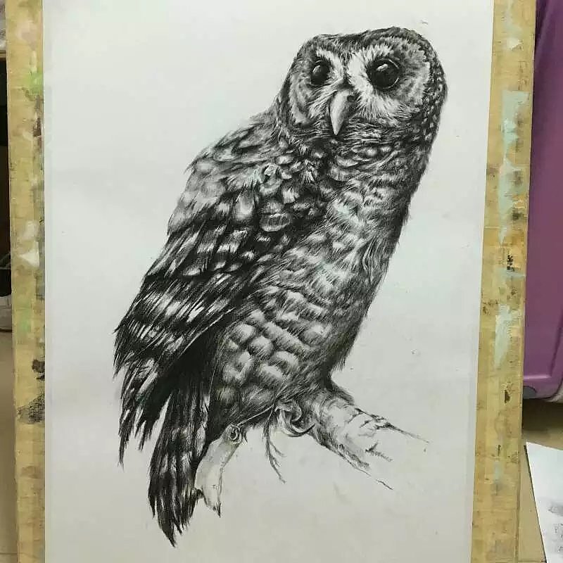 怀念那时候，学校的素描（图ZMTI1NTQ2OTY4） - 艺术插画 - 站酷设计师xiu吱吱原创素材 - 站酷ZCOOL