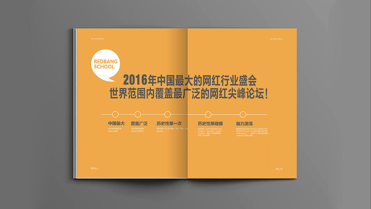 紅榜網(wǎng)紅 畫(huà)冊(cè)設(shè)計(jì)（圖ZNzkyMDU4NDg=） - 書(shū)籍/畫(huà)冊(cè) - 站酷設(shè)計(jì)師武青青原創(chuàng)素材 - 站酷ZCOOL