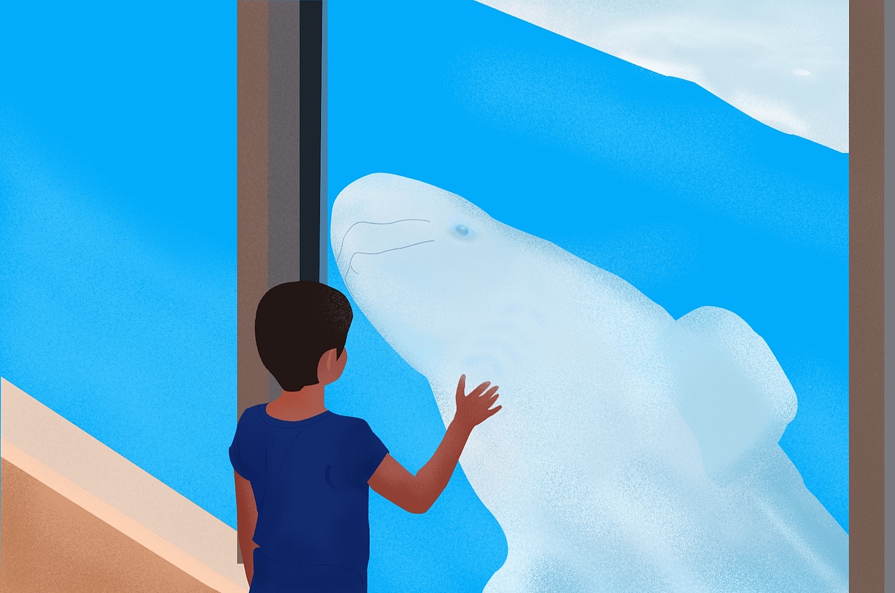 插画（图ZMTcxNTk4ODI0） - 艺术插画 - 站酷设计师pinkwhaleYU原创素材 - 站酷ZCOOL