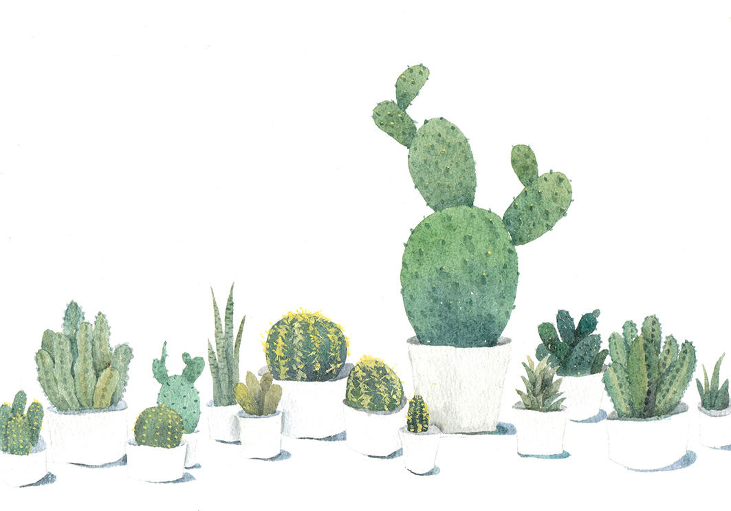 仙人掌|插画|插画习作|阿芽y - 原创作品 - 站酷 (zcool)