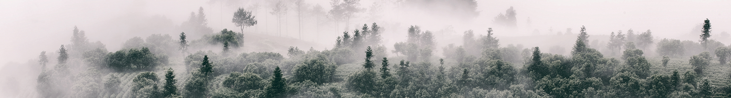 刹那绘梦白的个人主页（封面预览） - 主页封面设置 - 站酷设计师刹那绘梦白原创素材 - 站酷ZCOOL