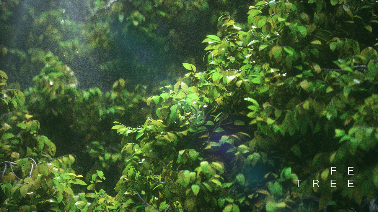 Mo第四期高阶影像结课所有练习(有些丑的就没发了23)