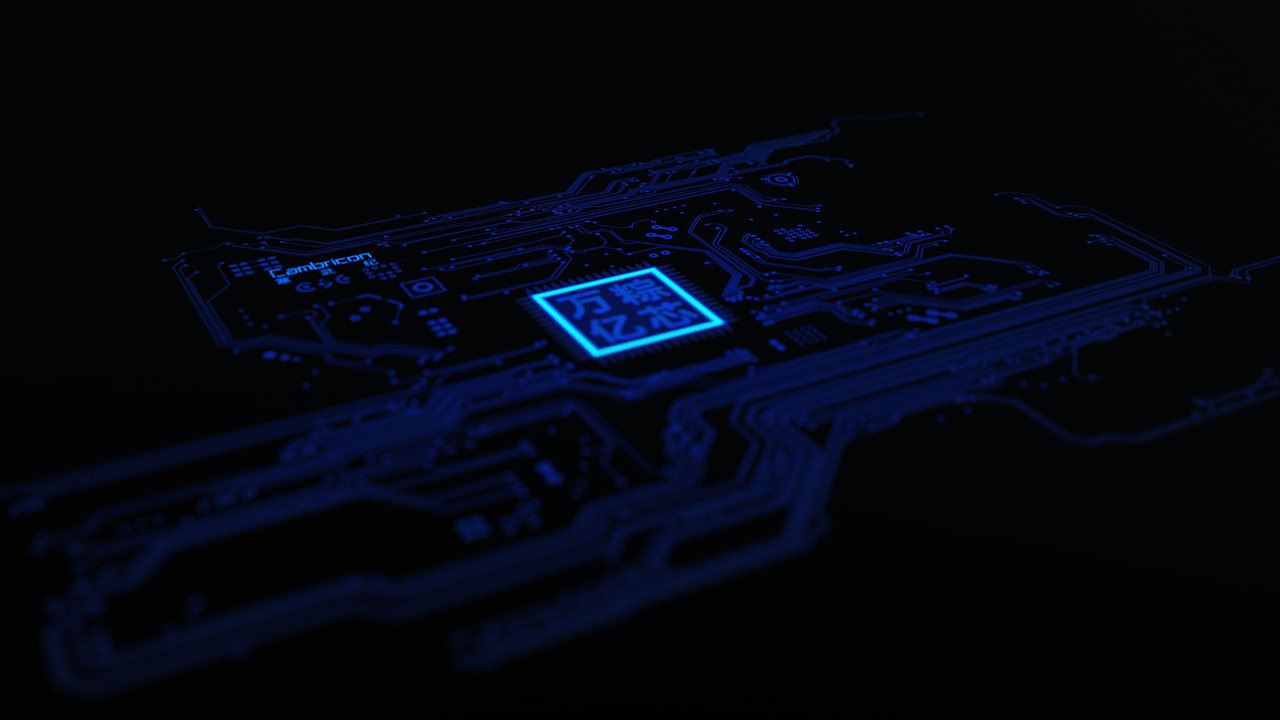 寒武纪端午节粽子