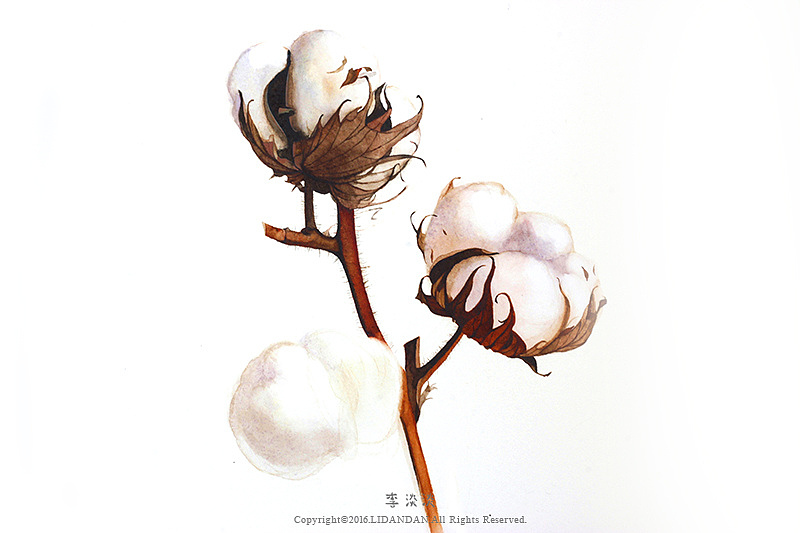 如植物般自由生长（图ZNzk0NTkxNDA=） - 绘画 - 站酷设计师李淡淡DAN原创素材 - 站酷ZCOOL