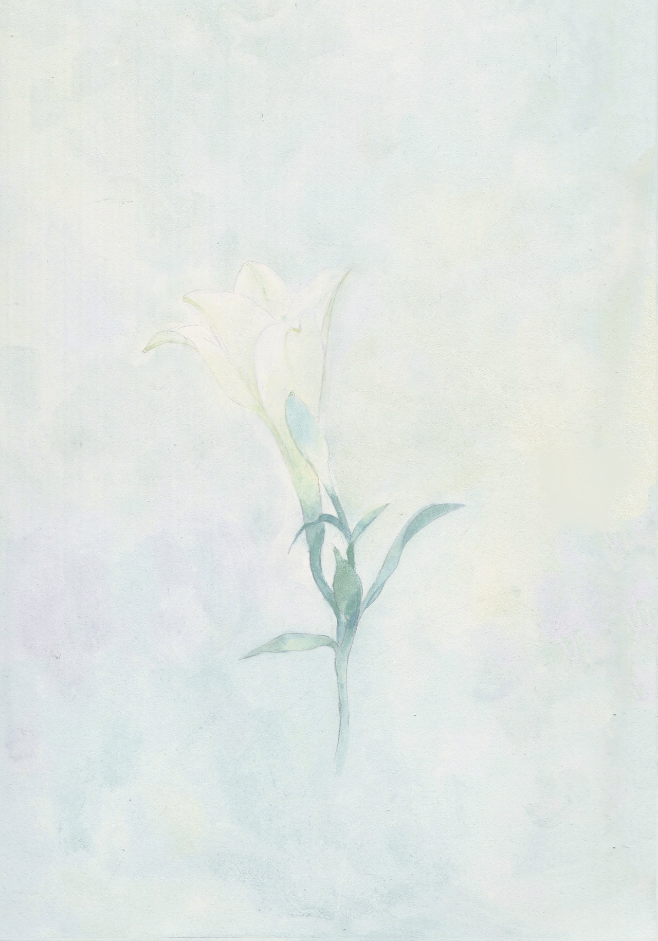 2021插画年终总结