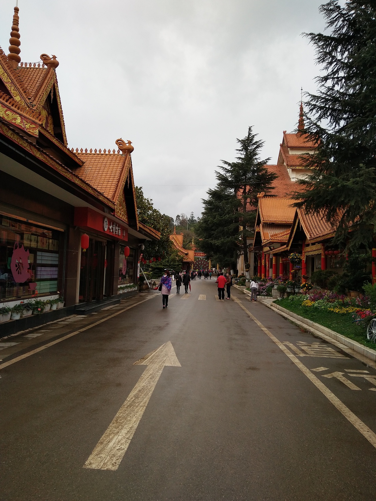 云南旅途的日常照