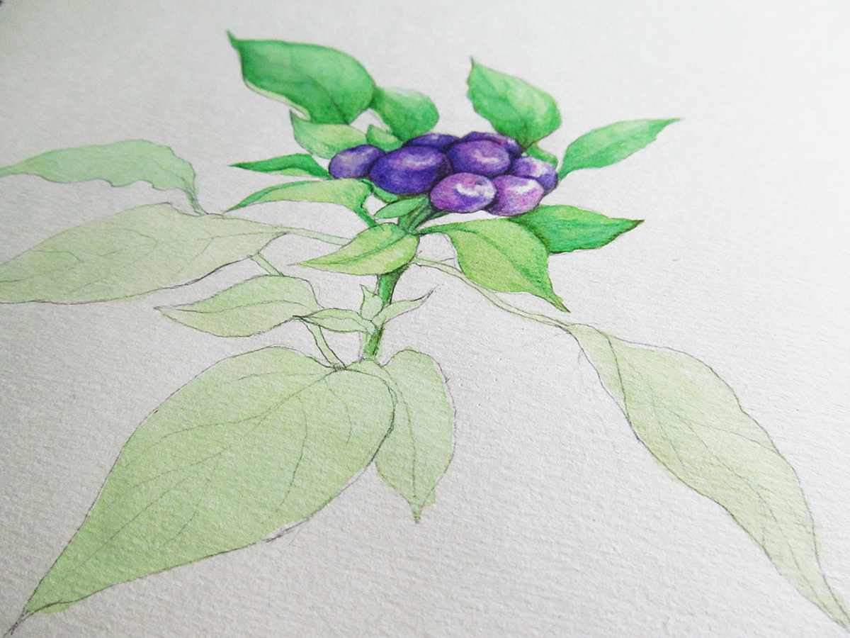 梦想de修行 系列之初起（图ZODA1OTU4MA==） - 绘画 - 站酷设计师自由的猞猁原创素材 - 站酷ZCOOL