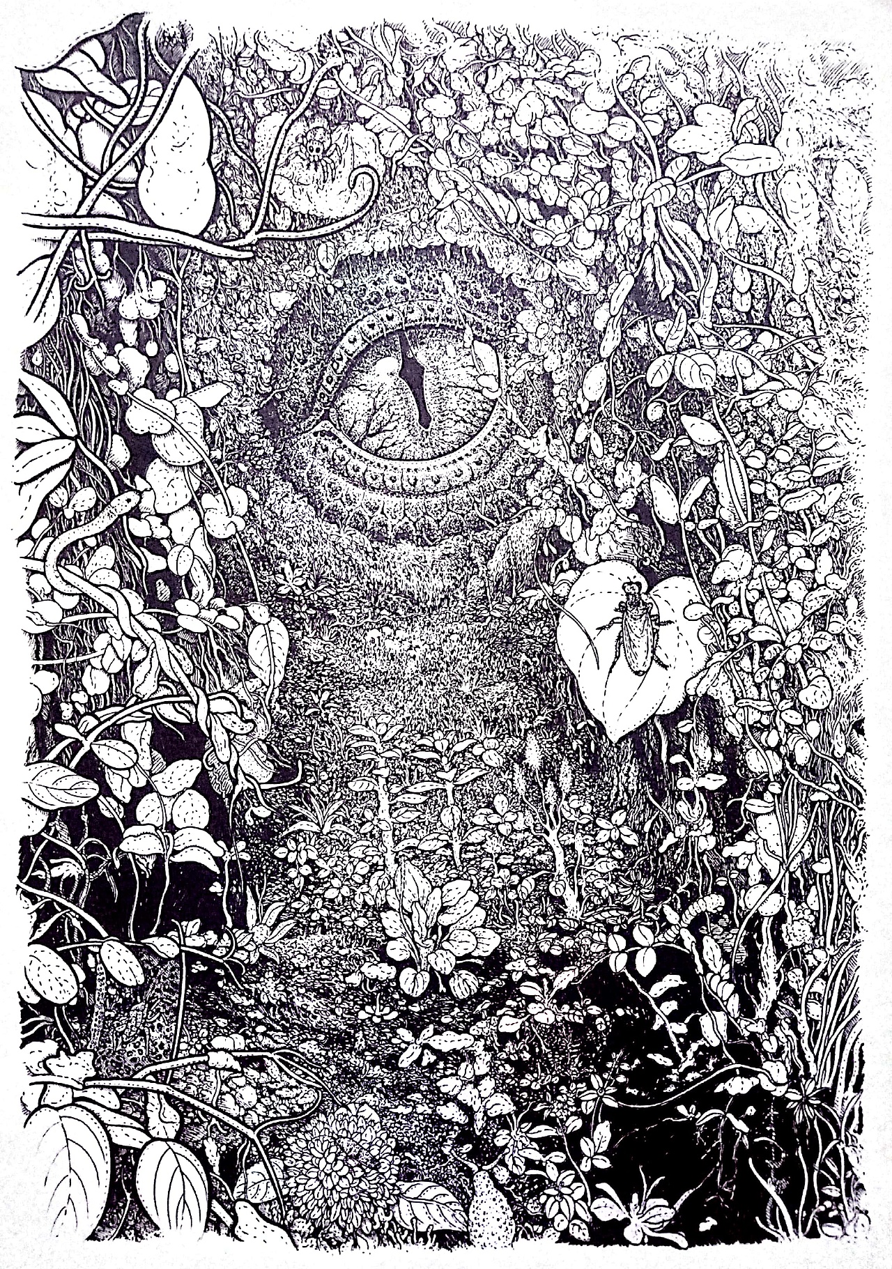 龙之眼（图ZODkxOTA1NzY=） - 绘画 - 站酷设计师绿野仙踪WYT原创素材 - 站酷ZCOOL