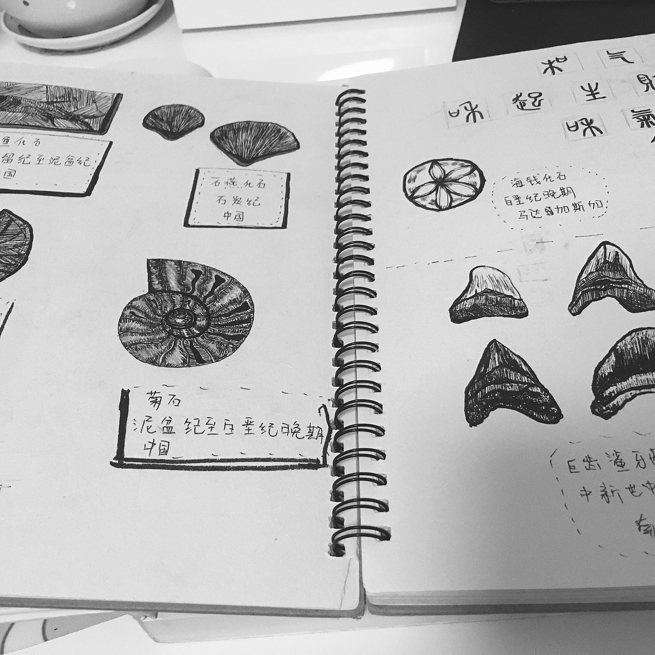一本书 牙齿艺术（图ZMjAyNzQ5NTc2） - 艺术插画 - 站酷设计师陈煖灵原创素材 - 站酷ZCOOL