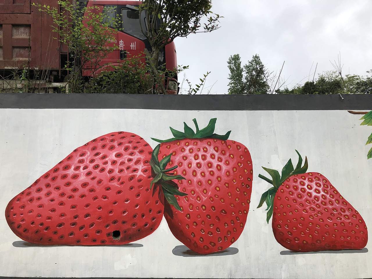 贵阳息烽温泉网红打卡点草莓果园文化手绘墙_壁尚手绘贵州墙绘-站酷