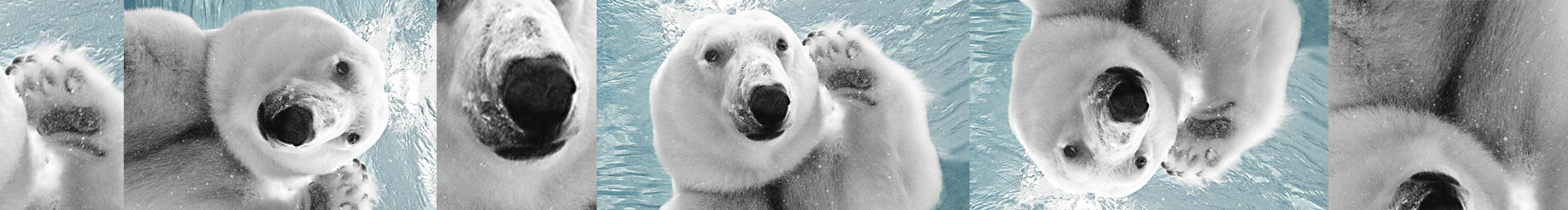 Feerliy的个人主页（封面预览） - 主页封面设置 - 站酷设计师Feerliy原创素材 - 站酷ZCOOL