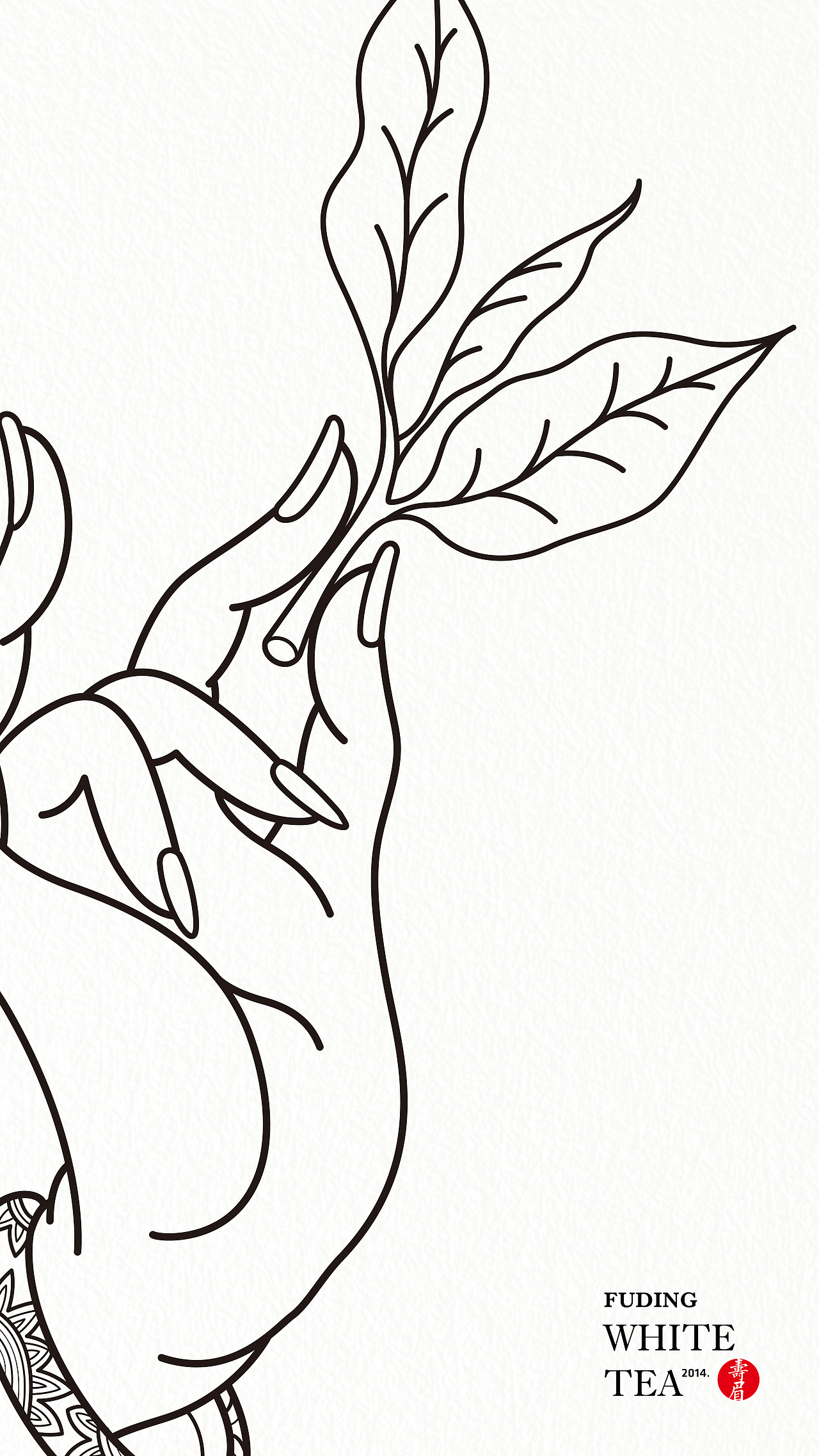 福鼎白茶（图ZMTg1OTE1NjIw） - 包装 - 站酷设计师MunJr品牌设计原创素材 - 站酷ZCOOL