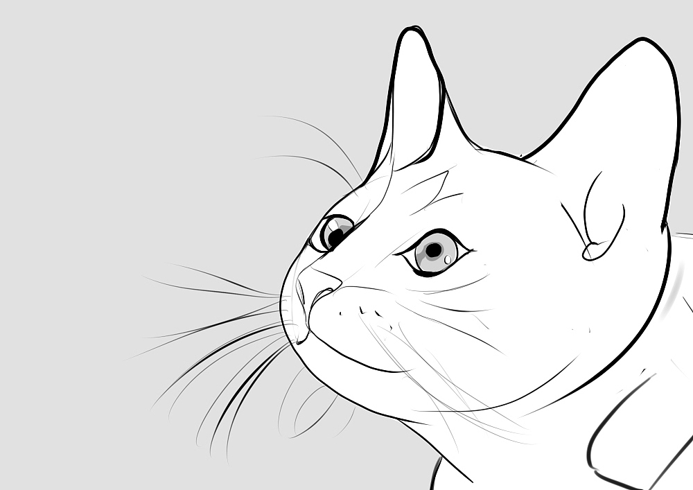 花间——猫与花（图ZOTAyOTU0MTI=） - 艺术插画 - 站酷设计师布傻傻原创素材 - 站酷ZCOOL