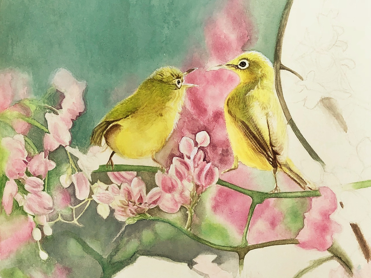 绣眼鸟-水彩手绘