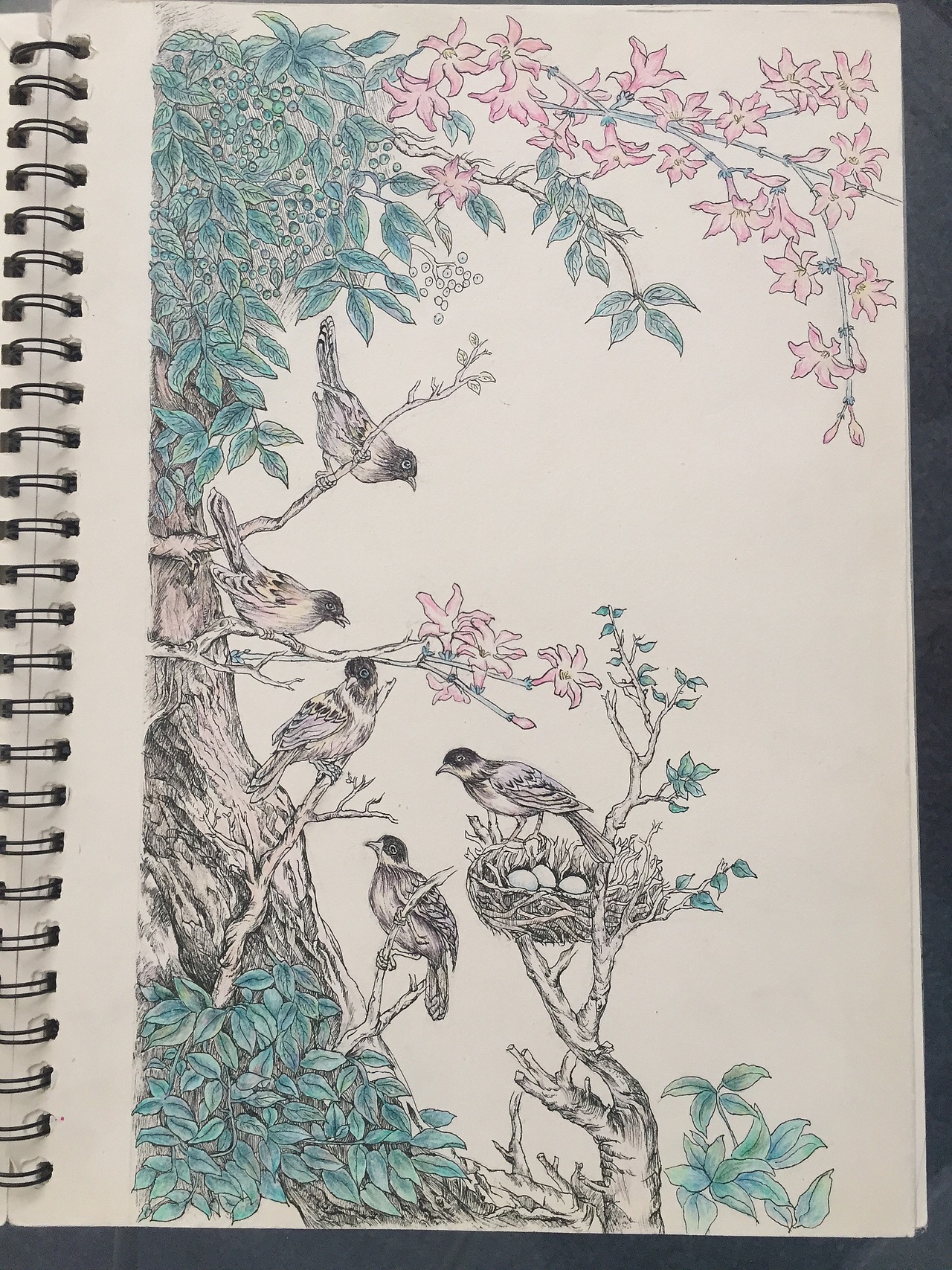 大学时期的手绘习作