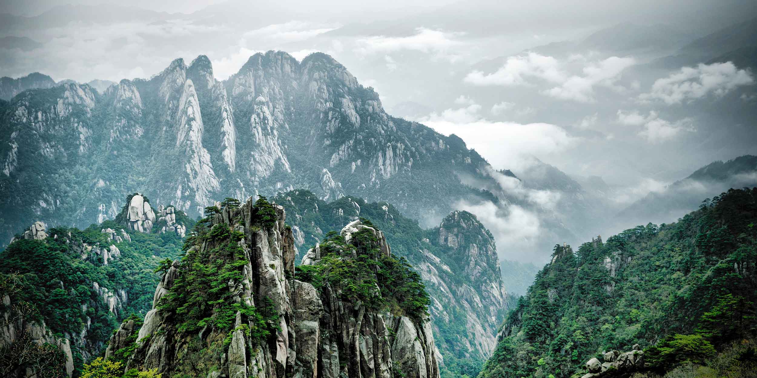 倔强金牛的个人主页（背景预览） - 主页背景设置 - 站酷设计师倔强金牛原创素材 - 站酷ZCOOL