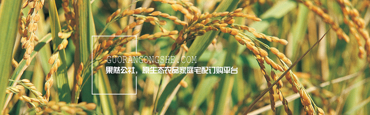 banner（图ZNTkwMzE3MDg=） - 运营设计 - 站酷设计师Ah丶Q原创素材 - 站酷ZCOOL
