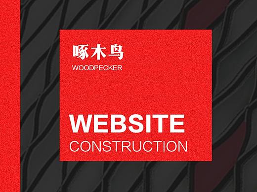 【网站设计】啄木鸟网站首页设计