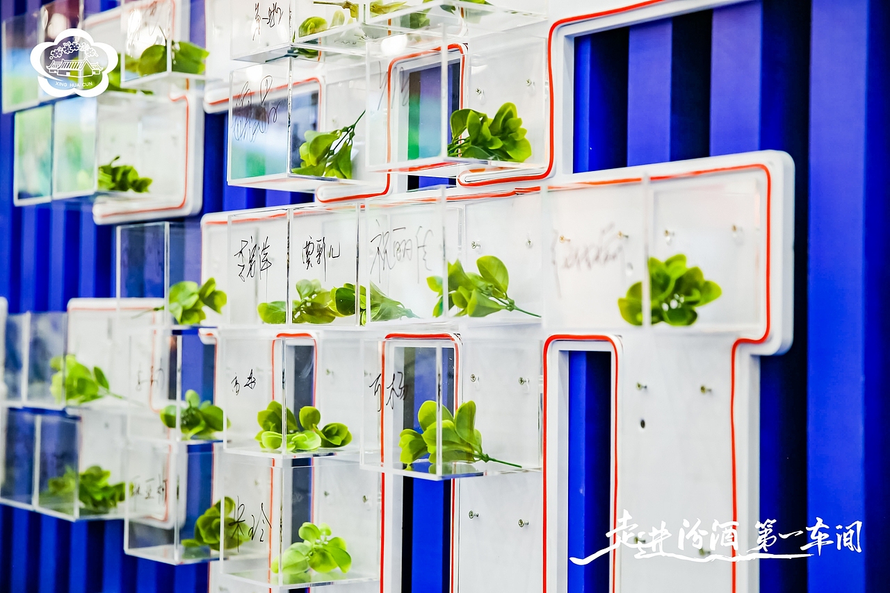 汾酒活动:走进汾酒第一车间·全国主流媒体原粮基地行