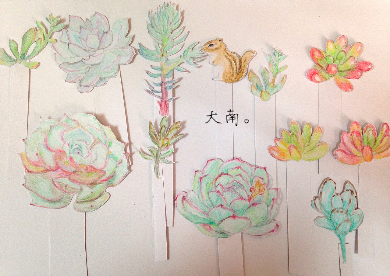 多肉植物立体彩铅书签