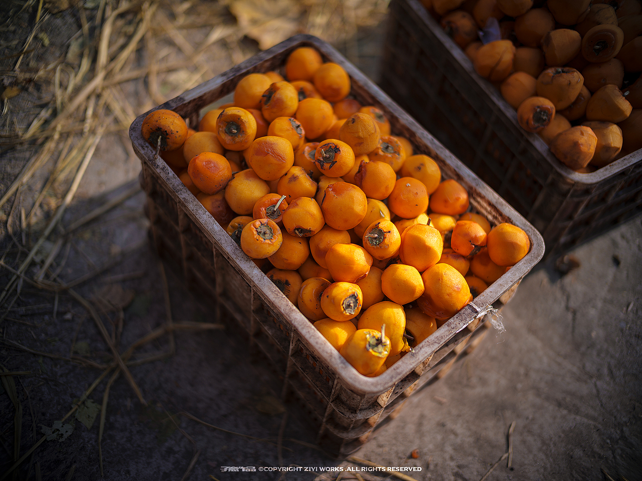 《October 25, 2020》（图ZMjQxMTY1NDk2） - 人文/纪实摄影 - 站酷设计师摄影师子意原创素材 - 站酷ZCOOL