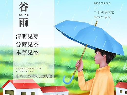 原创节气插画