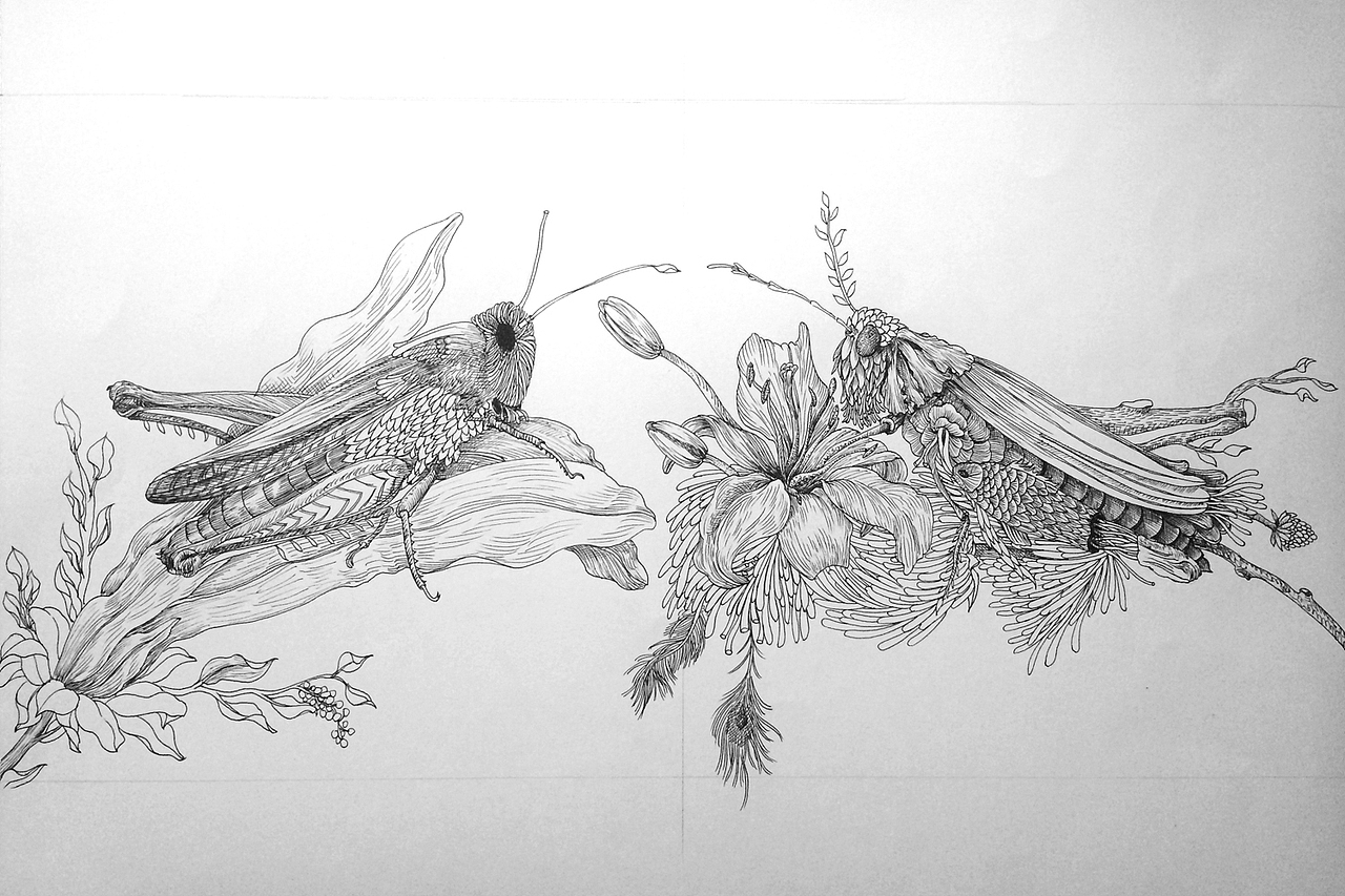 《異世界》2015年與後浪出版社合作創作的黑白線稿/色彩稿是自己的練習(图ZODA4Mjc5NTY=) - 商业插画 - 站酷设计师秋岭QIULING原创素材 - 站酷ZCOOL
