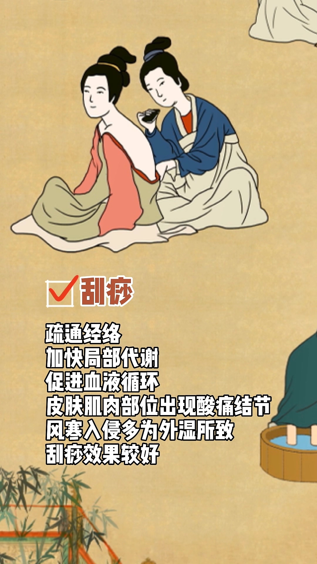 暑湿夏日,如何祛湿(茯苓视频外湿篇)