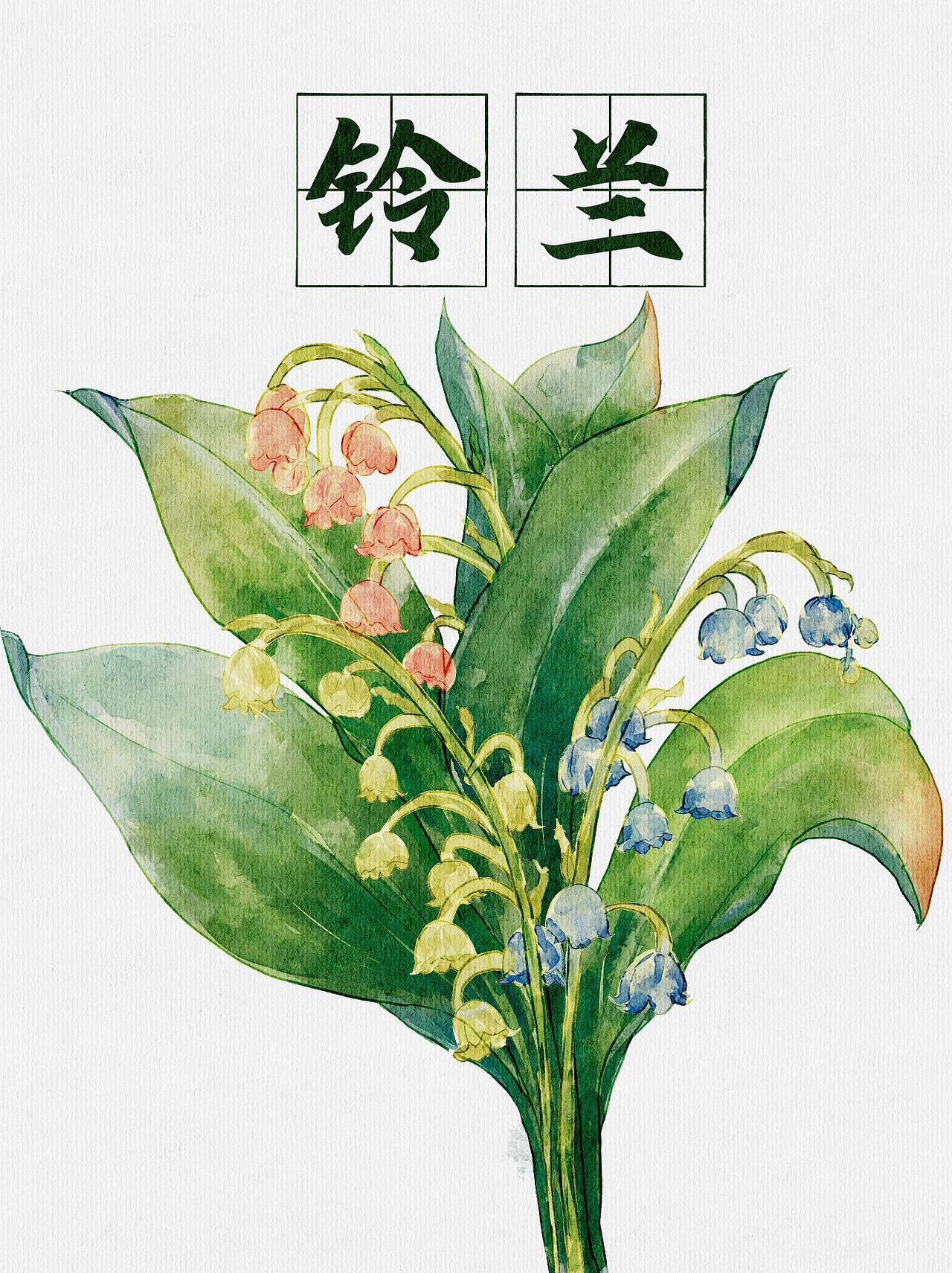 水彩铃兰花