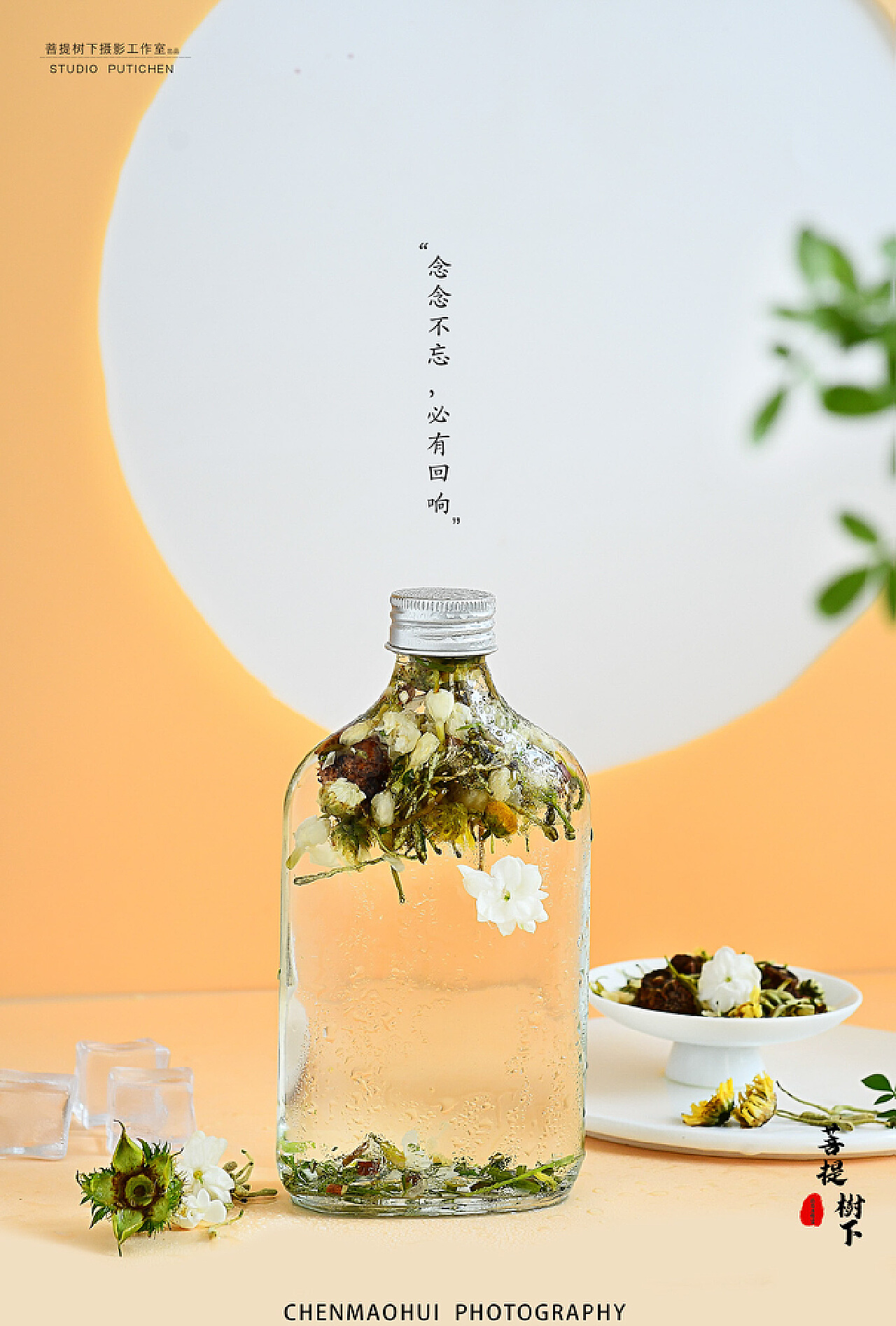 美丽茶藨子图片_植物根茎的美丽茶藨子图片大全 - 花卉网