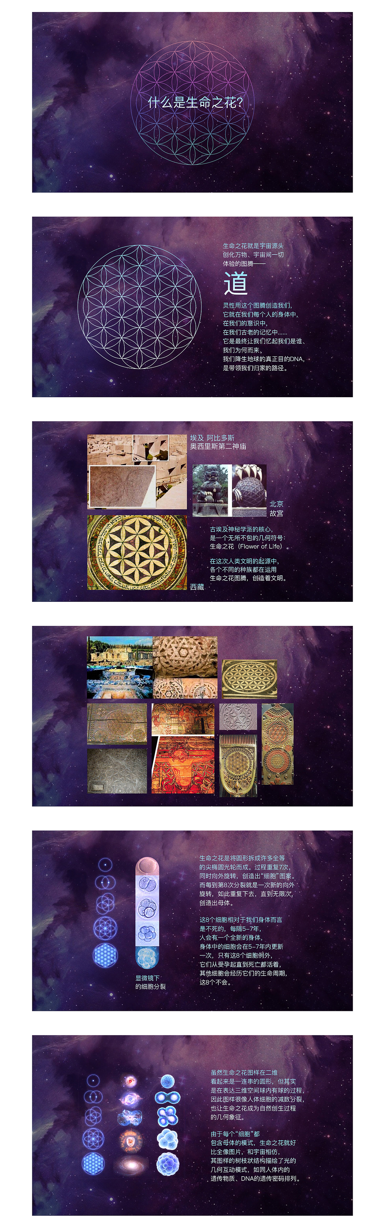 logo设计案例：光文明（图ZMjE0MzQyOTI4） - Logo - 站酷设计师RazielZ原创素材 - 站酷ZCOOL