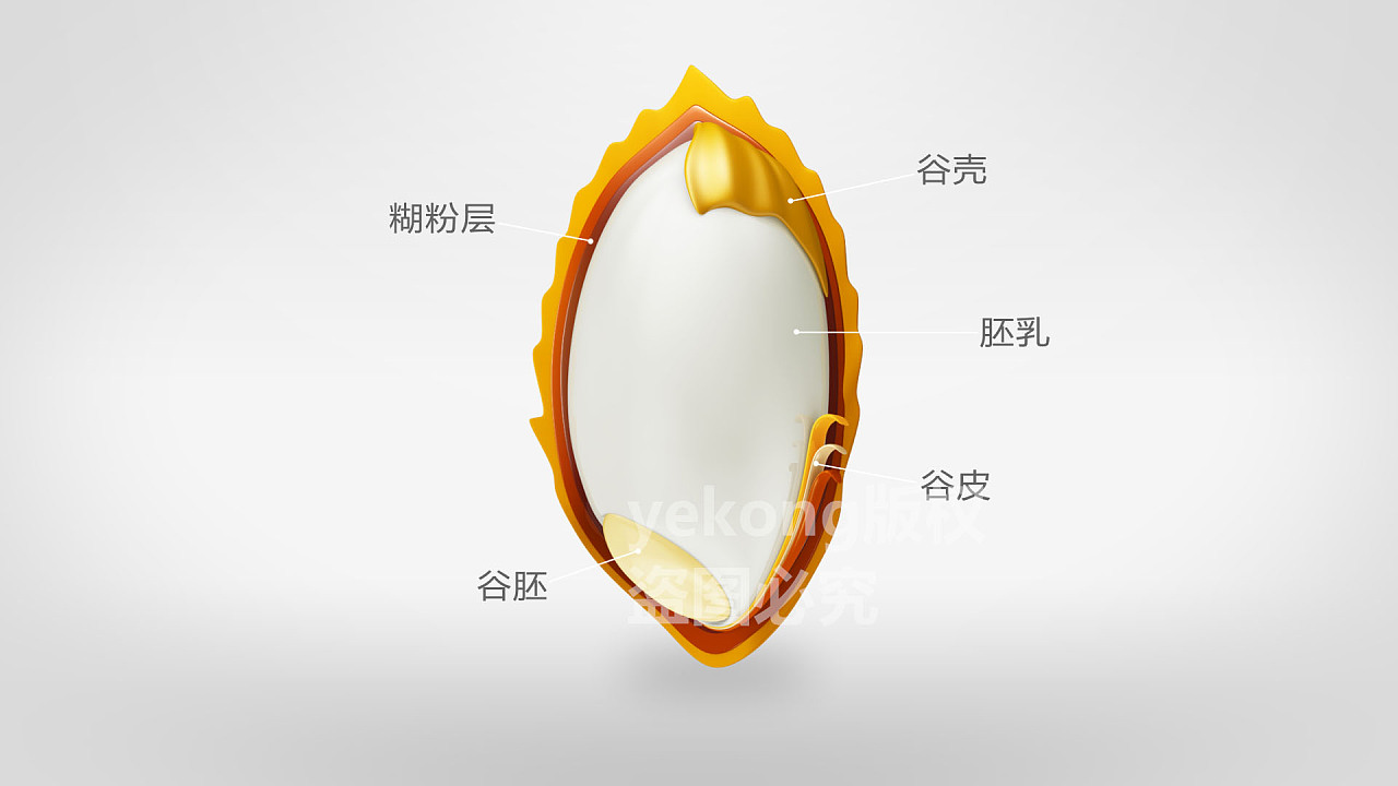 大米动画宣传片 后期包装