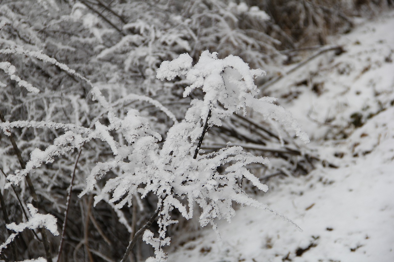 阴阳界雪景