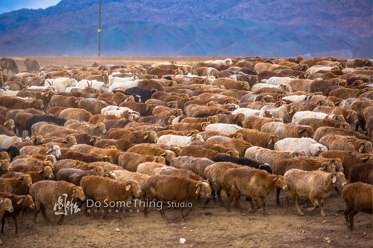 北疆行迹（图ZOTQwODYyNjg=） - 风光摄影 - 站酷设计师kiwihello原创素材 - 站酷ZCOOL